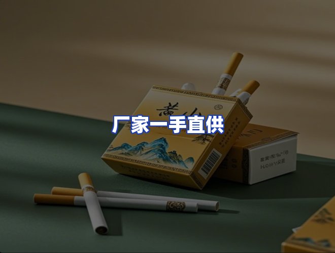 专业团队